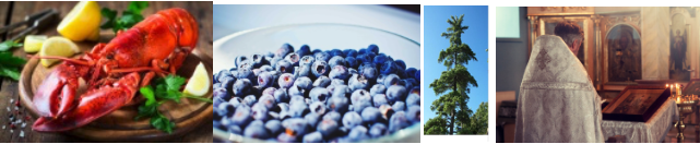 lobster, blueberries, white pine, & a priest